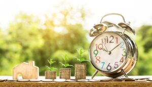 educatie financara