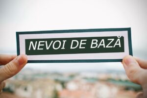 nevoi de bază