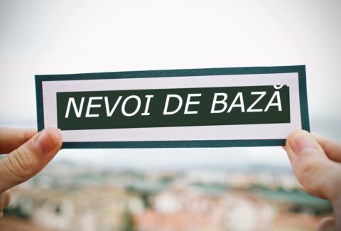 nevoi de bază