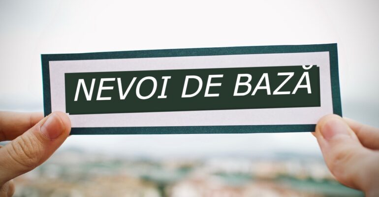 nevoi de bază